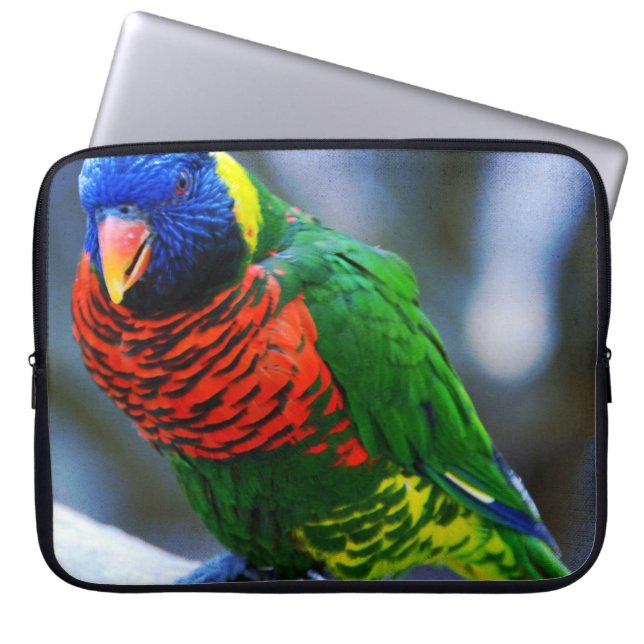 Red blue green lorikeet bird photography modern laptop sleeve (Front)