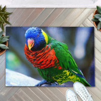 Red blue green lorikeet bird stylish photography
