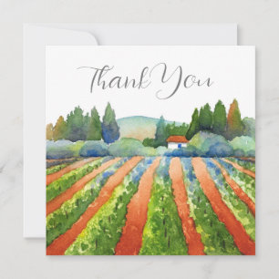 Red Blue Green Vineyard Thank You Card