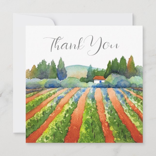 Red Blue Green Vineyard Thank You Card (Front)