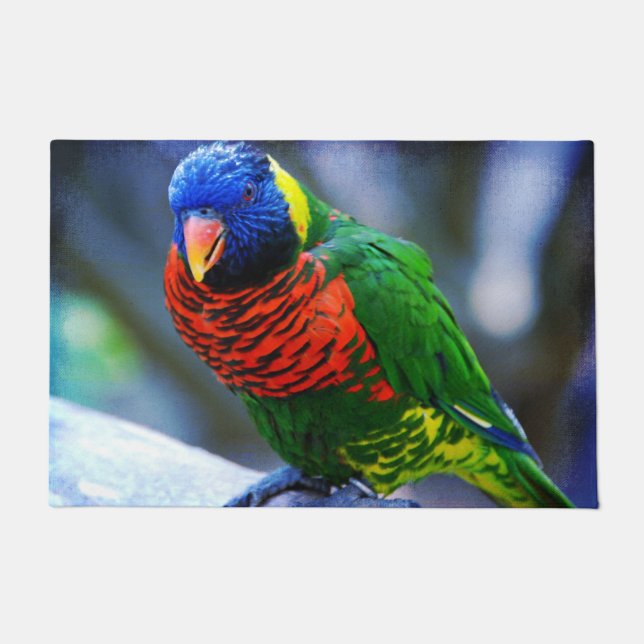 Red blue green yellow bird close-up photo modern doormat (Front)