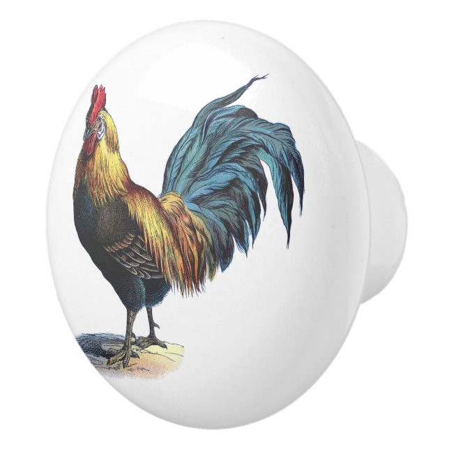 Red Blue Yellow Rooster On White Ceramic Knob (Right)