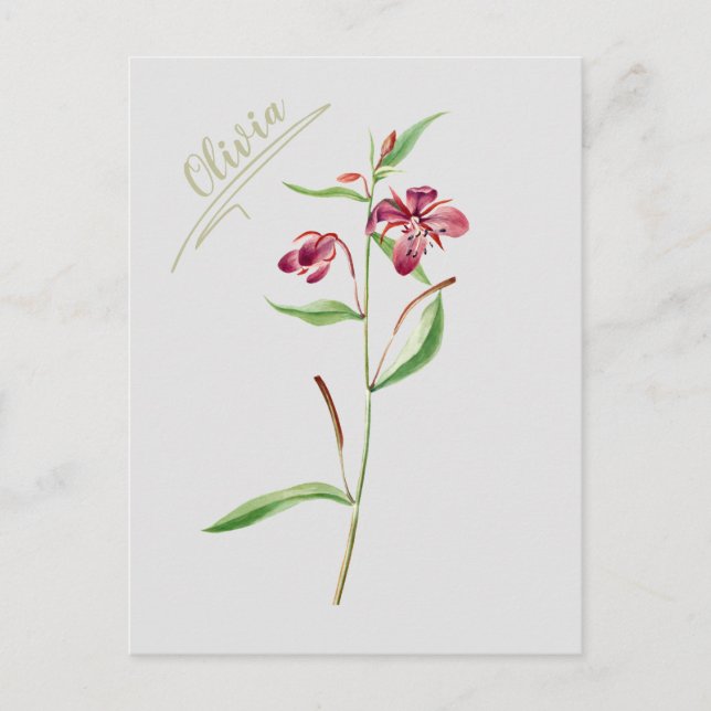 red botanical minimal vintage for her postcard (Front)