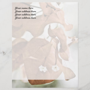 Red Bougainvillea Letterhead