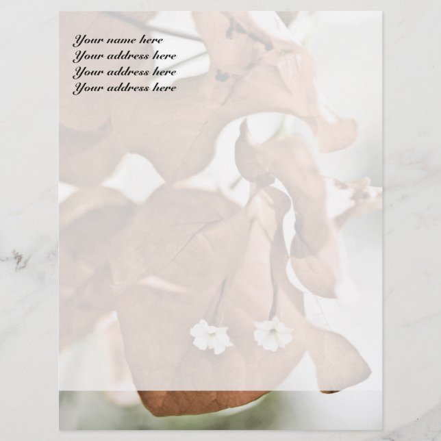 Red Bougainvillea Letterhead (Front)