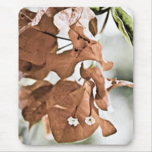 Red Bougainvillea Mouse Pad
