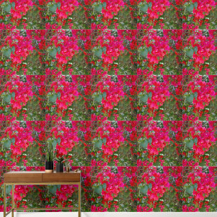 Red Bougainvillea, Wallpaper
