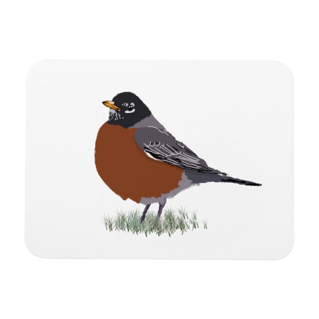 Red Breasted American Robin Digitally Drawn Bird Magnet (Horizontal)