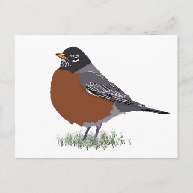 Red Breasted American Robin Digitally Drawn Bird Postcard (Front)