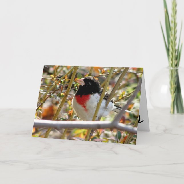 Red Breasted Grosbeak Card (Front)