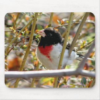 Red Breasted Grosbeak Mouse Pad