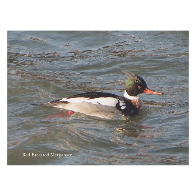 Red Breasted Merganser tablecloth (Front (Horizontal))