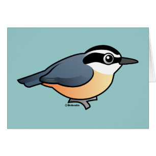 Red-breasted Nuthatch