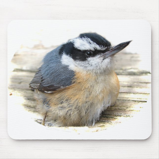 Red-breasted Nuthatch Mouse Pad (Front)