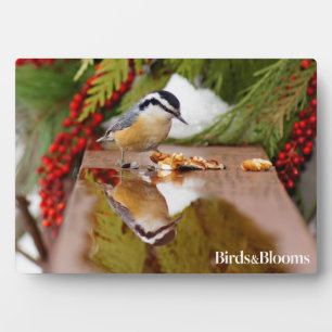 Red-breasted Nuthatch Plaque