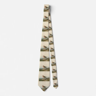 Red-breasted Sandpiper, Audubon's Birds of America Tie