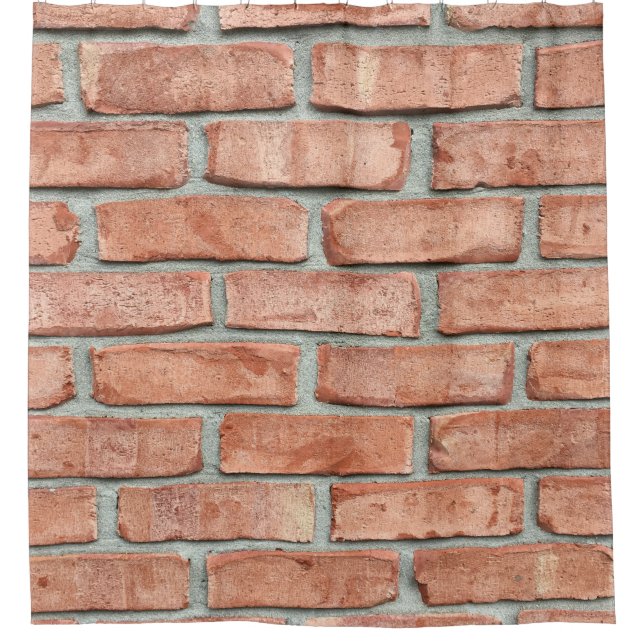 Red brick wall in the morning (Front)