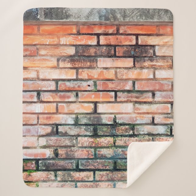 Red brick wall with stainsabstract,aged,architectu sherpa blanket (Front)