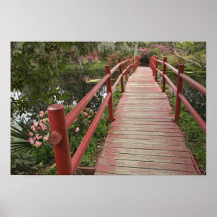 Red bridge over pond, Magnolia Plantation, Poster