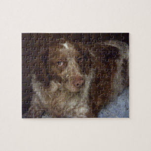 Red Brittany Spaniel dog épagneul breton roux Jigsaw Puzzle
