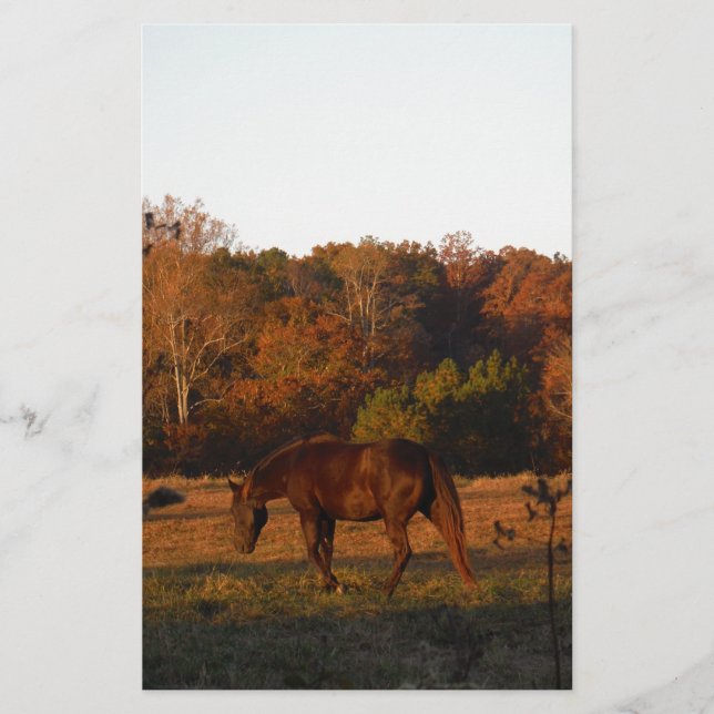 Red  Brown horse, autumn woods. (Front)