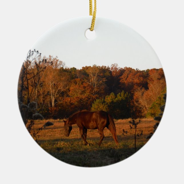 Red  Brown horse, autumn woods. Ceramic Ornament (Front)