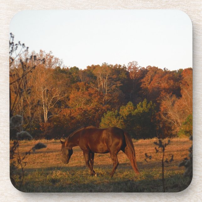 Red  Brown horse, autumn woods. Coaster (Front)