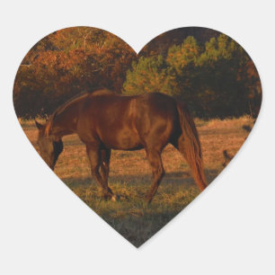Red Brown horse, autumn woods. Heart Sticker