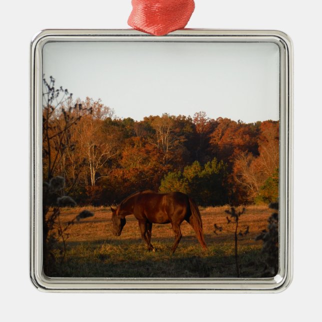 Red  Brown horse, autumn woods. Metal Ornament (Front)