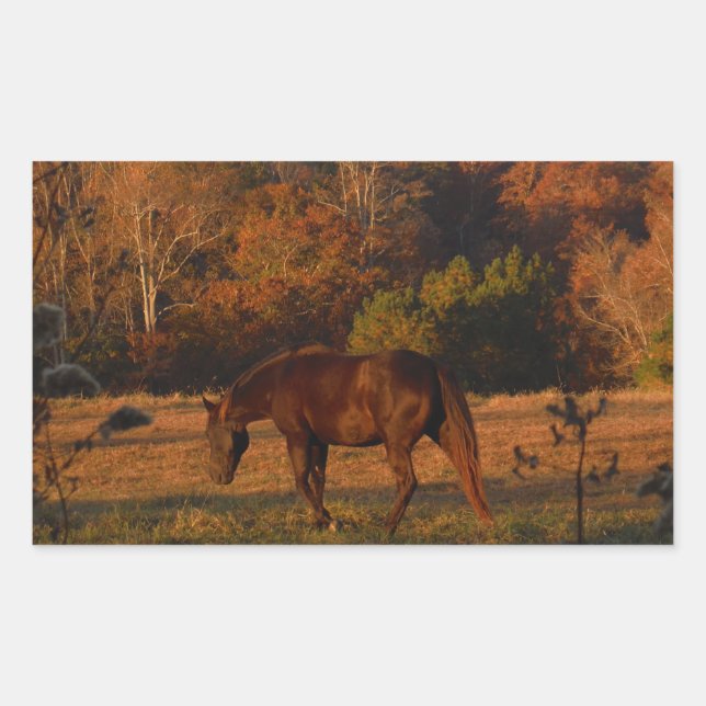 Red  Brown horse, autumn woods. Sticker (Front)