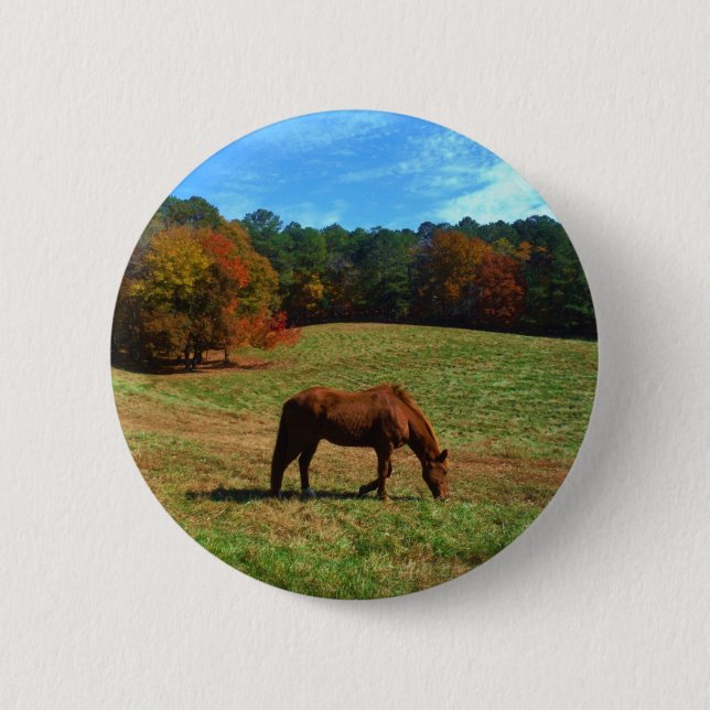 Red Brown horse, fall trees, blue skies 2 Inch Round Button (Front)