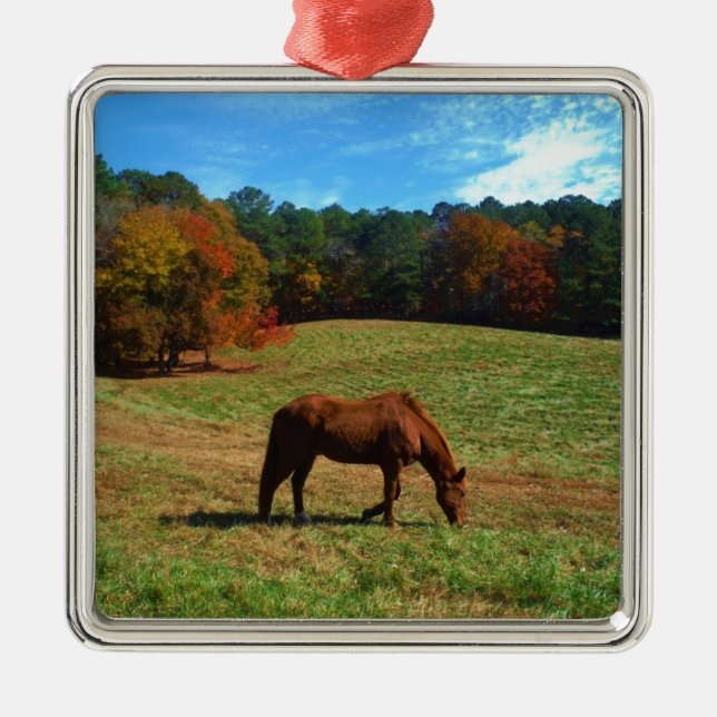 Red Brown horse, fall trees, blue skies Metal Ornament (Front)