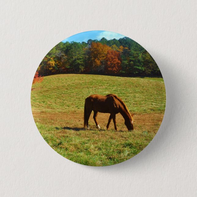 Red Brown horse in the  autumn trees 2 Inch Round Button (Front)