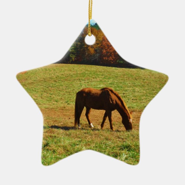 Red Brown horse in the  autumn trees Ceramic Ornament (Front)
