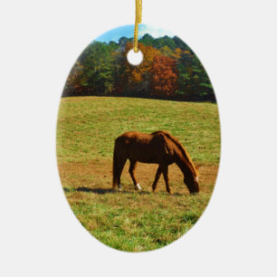 Red Brown horse in the  autumn trees Ceramic Ornament