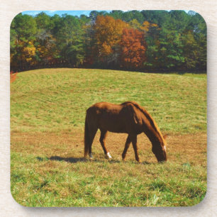Red Brown horse in the  autumn trees Coaster