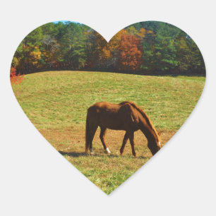 Red Brown horse in the  autumn trees Heart Sticker