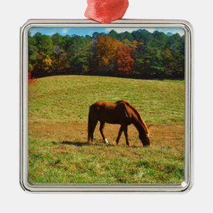 Red Brown horse in the  autumn trees Metal Ornament