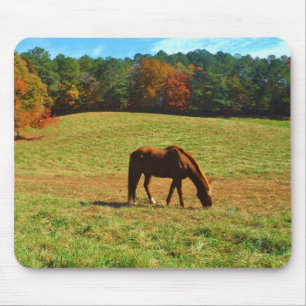 Red Brown horse in the  autumn trees Mouse Pad