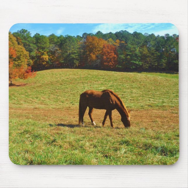 Red Brown horse in the  autumn trees Mouse Pad (Front)