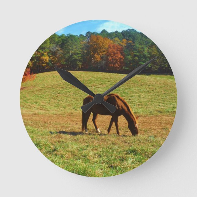 Red Brown horse in the  autumn trees Round Clock (Front)