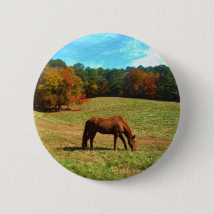 Red  Brown horse, Teal Blue sky 2 Inch Round Button