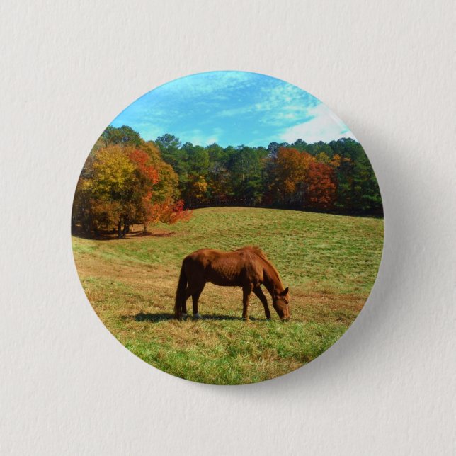 Red  Brown horse, Teal Blue sky 2 Inch Round Button (Front)