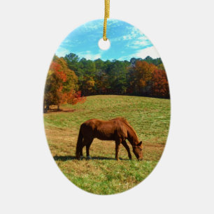 Red  Brown horse, Teal Blue sky Ceramic Ornament