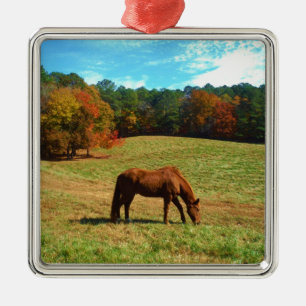 Red Brown horse, Teal Blue sky Metal Ornament
