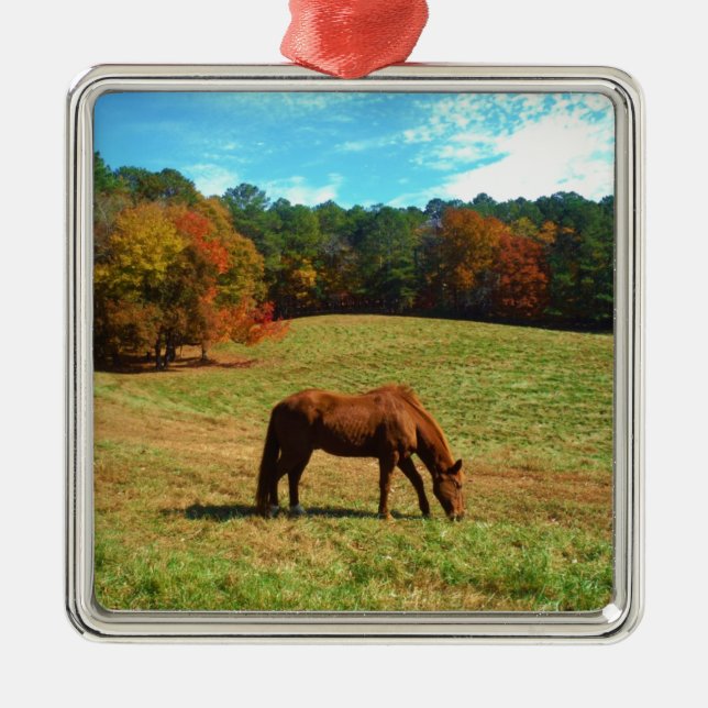 Red  Brown horse, Teal Blue sky Metal Ornament (Front)