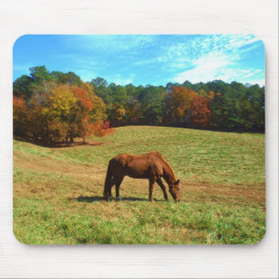 Red  Brown horse, Teal Blue sky Mouse Pad