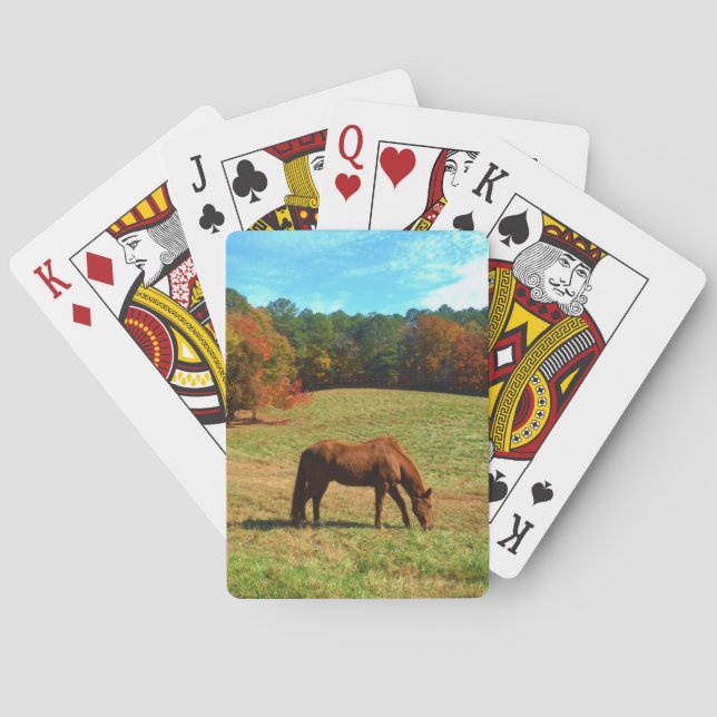 Red  Brown horse, Teal Blue sky Playing Cards (Back)