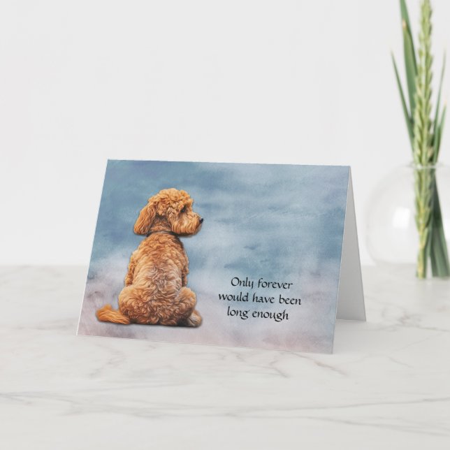 Red Brown Poodle Dog Perdre la carte de sympathie (Devant)
