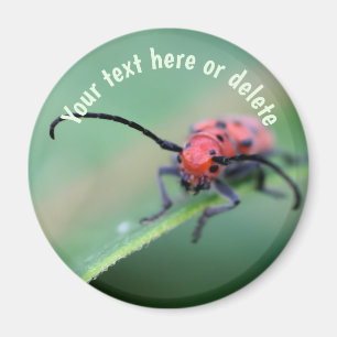 Red Bug With Attitude Nature Personalized Magnet